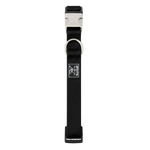 Black dog collar with a metal buckle on a white background