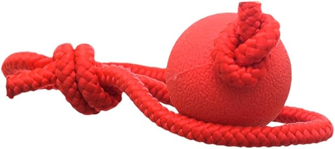 Rubber Ball Rope Dog.