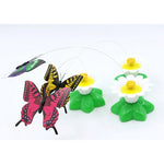 Butterfly Interactive Catching Toy for Cat - Green.