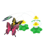 Butterfly Interactive Catching Toy for Cat - Green.