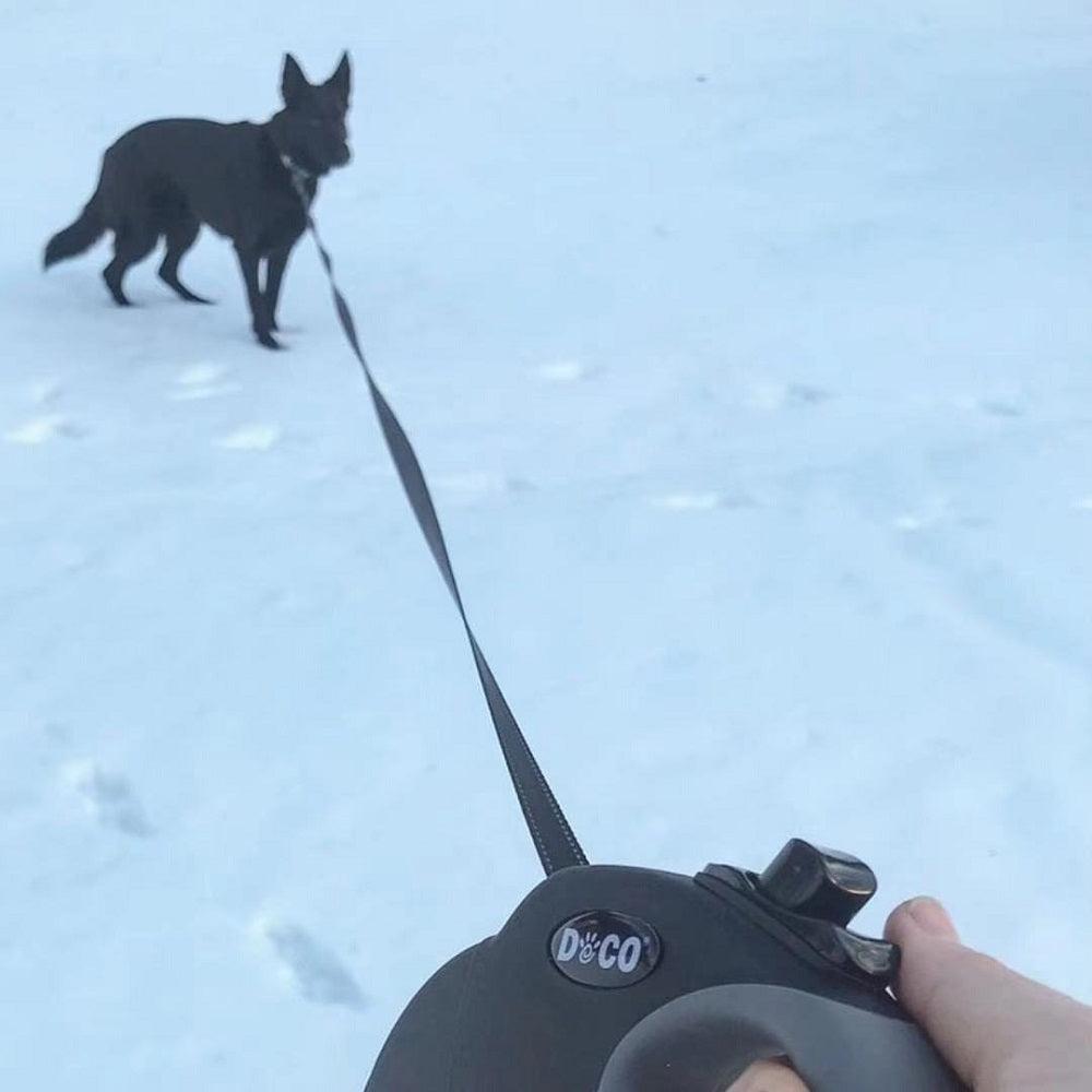 DOCO® ALL DAY ADVENTURE RETRACTABLE DOG LEASH.
