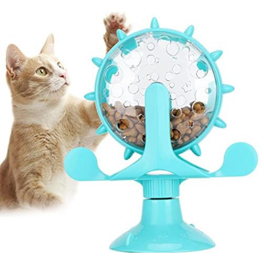 Cat playing with a blue and clear toy wheel on a white background