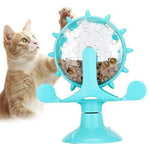 Cat playing with a blue and clear toy wheel on a white background