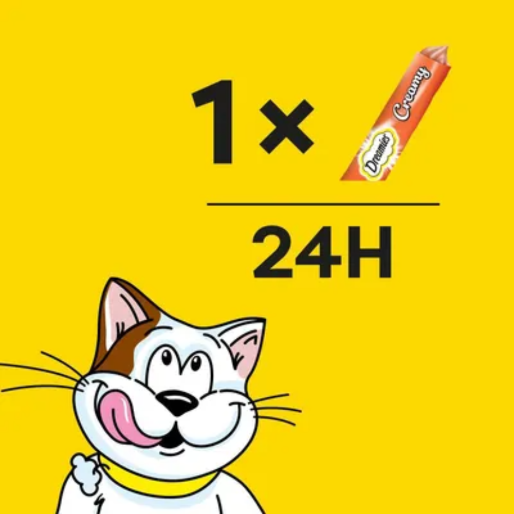 Cartoon cat character on a yellow background with text and a candy bar.