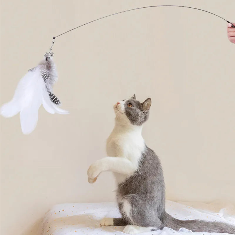 Interactive cat toy steel wire with feather.