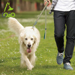 Person walking a white dog on a leash in a park