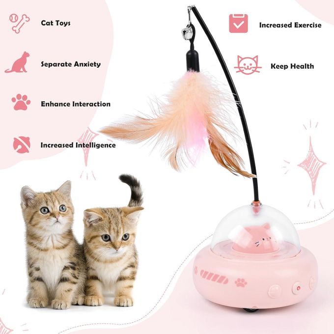 Cat Teaser Toy with Laser