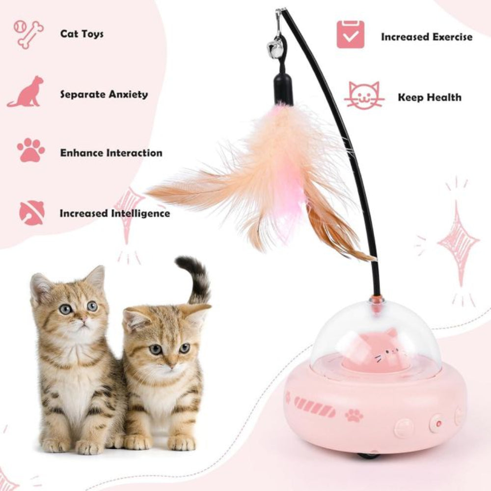 Pink cat toy with feather attachment and two kittens on a white background