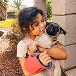 DOCO® ALL DAY ADVENTURE RETRACTABLE DOG LEASH.