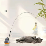 Spinning Cat Teaser Toy.