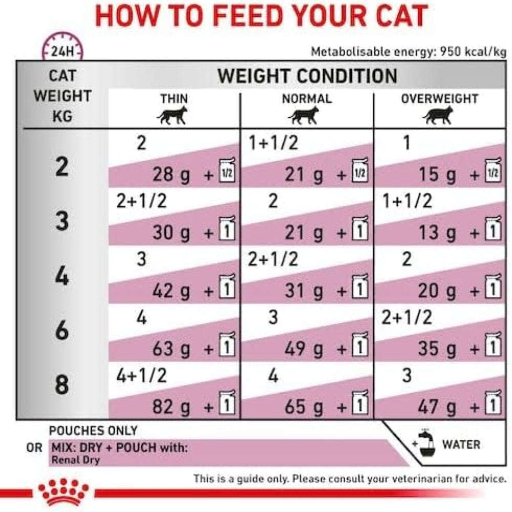 Feeding chart for cats with weight and condition guidelines.
