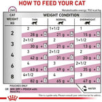 Feeding chart for cats with weight and condition guidelines.
