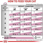 Feeding chart for cats with weight and condition guidelines.
