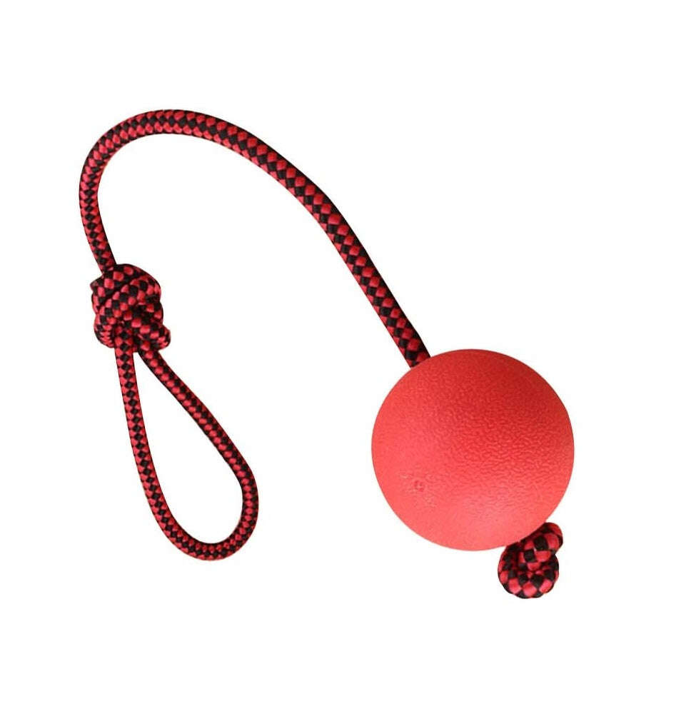PawZilla Ball Toy With Rope.