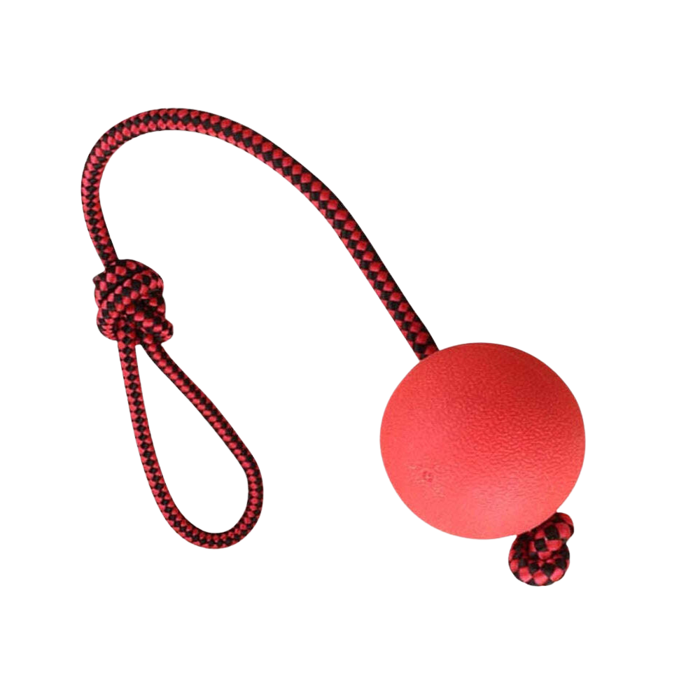 PawZilla Ball Toy With Rope.