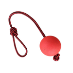 PawZilla Ball Toy With Rope.