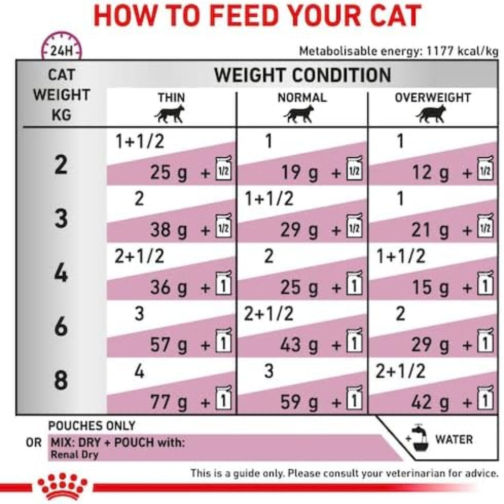 Feeding chart for cats showing recommended portions based on weight and condition.