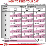Feeding chart for cats showing recommended portions based on weight and condition.