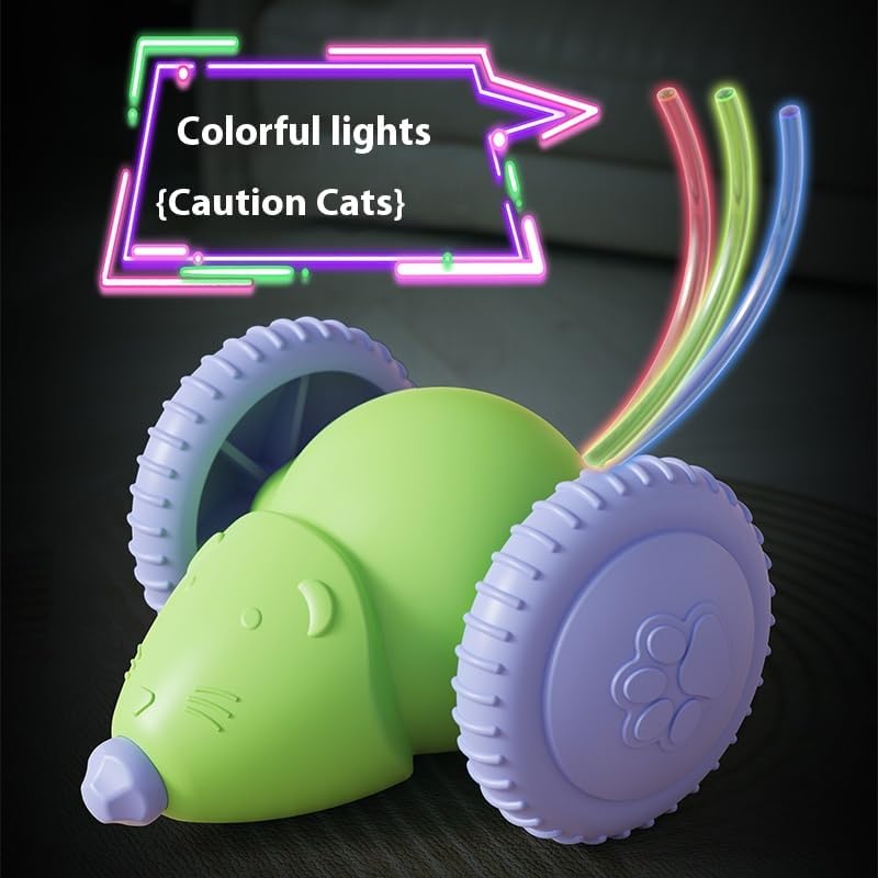 Cat Toy Car & Mouse Smart.