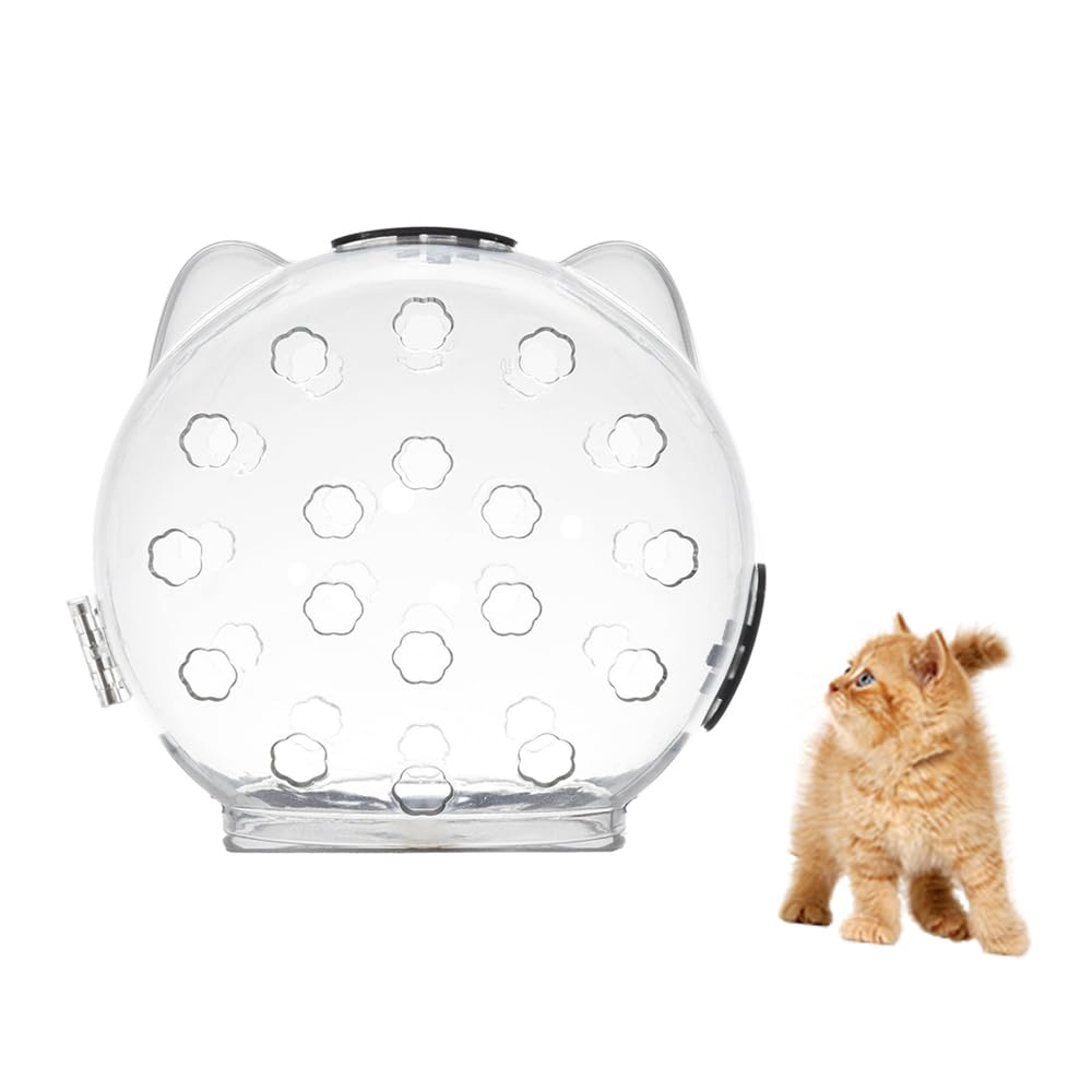 Clear pet toy with hexagonal holes next to a small orange cat on a white background