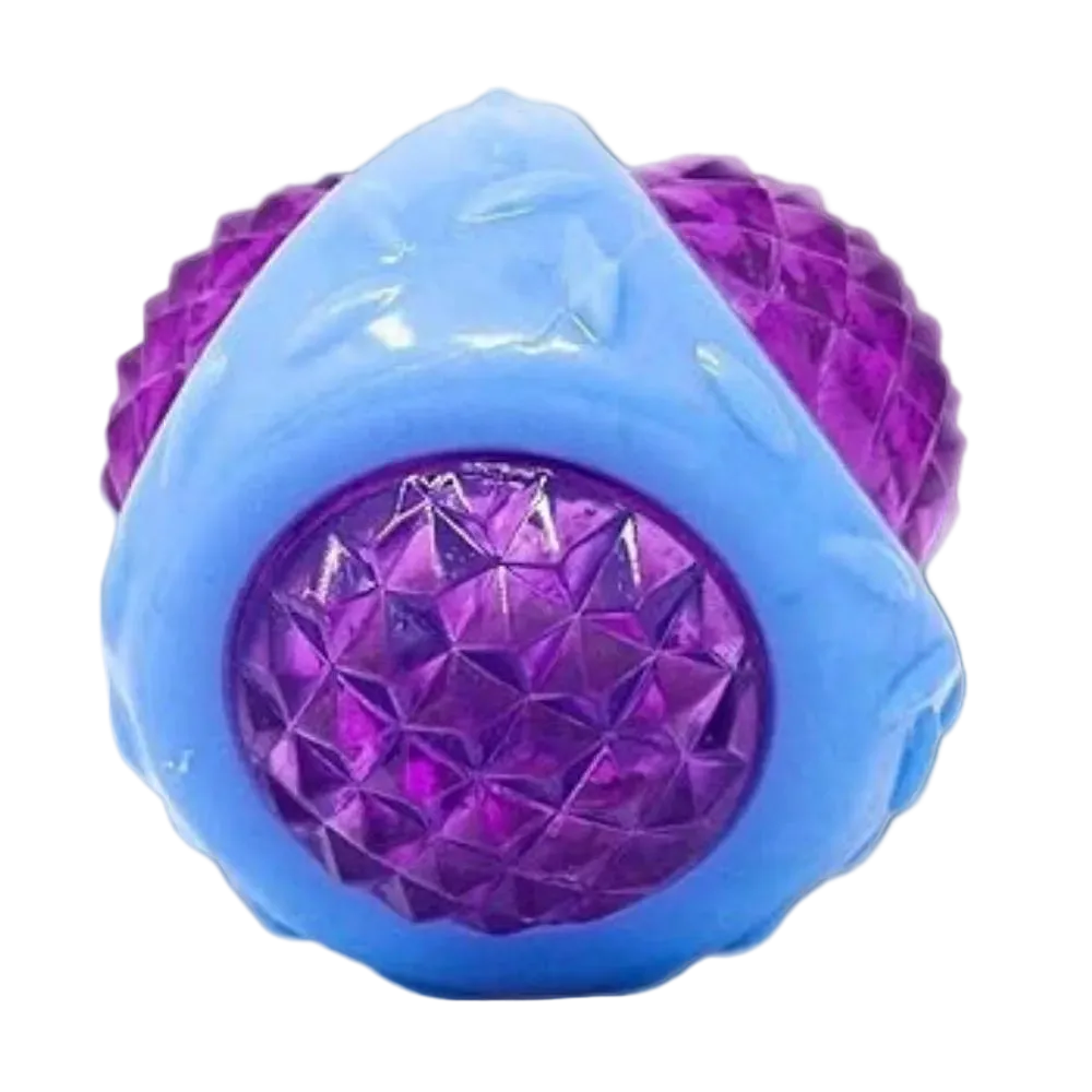 LED Squeaker Interactive Toy for Dogs Petfast.shop Generic Dog Supplies Toys petfast.shop Egypt PLE3061S Default Title 120.00