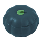 Dark green acorn squash with a green stem on a white background
