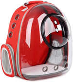 Bomei Pet Backpack TransparentPet Bag for cats and small dogs