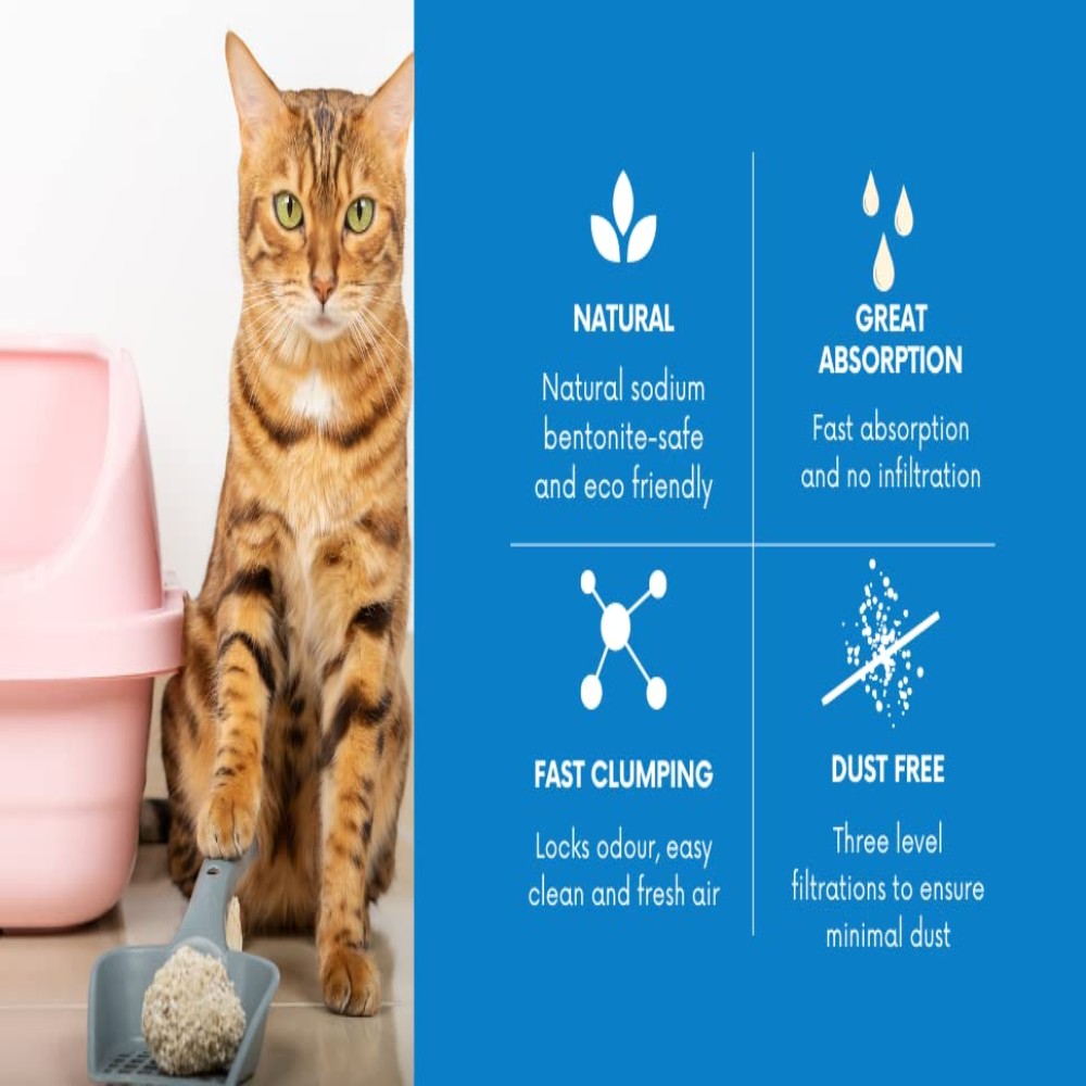 True Test Bentonite Cat Litter Lavender Petfast.shop True Test Box & Accessories & Litter Cat Litter petfast.shop Egypt 160.00