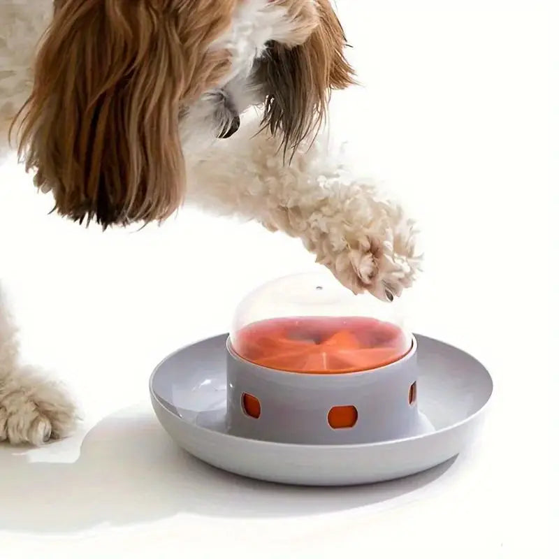 Pet Press Slow Feeder.