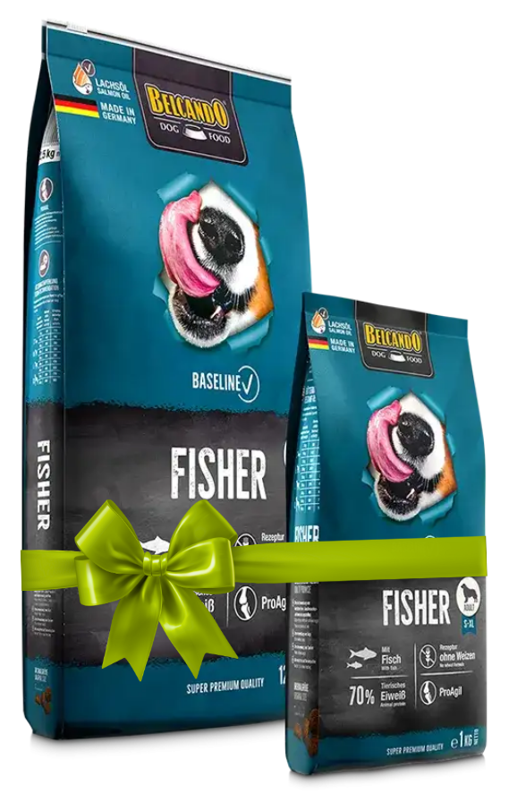 Two packages of Fisher dog food with a green bow on a white background