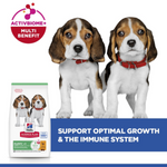 Hill's Science Plan Medium Breed Puppy Food with Chicken Petfast.shop Hill's Dog Dry Food Food petfast.shop Egypt2.5Kg 1700.00