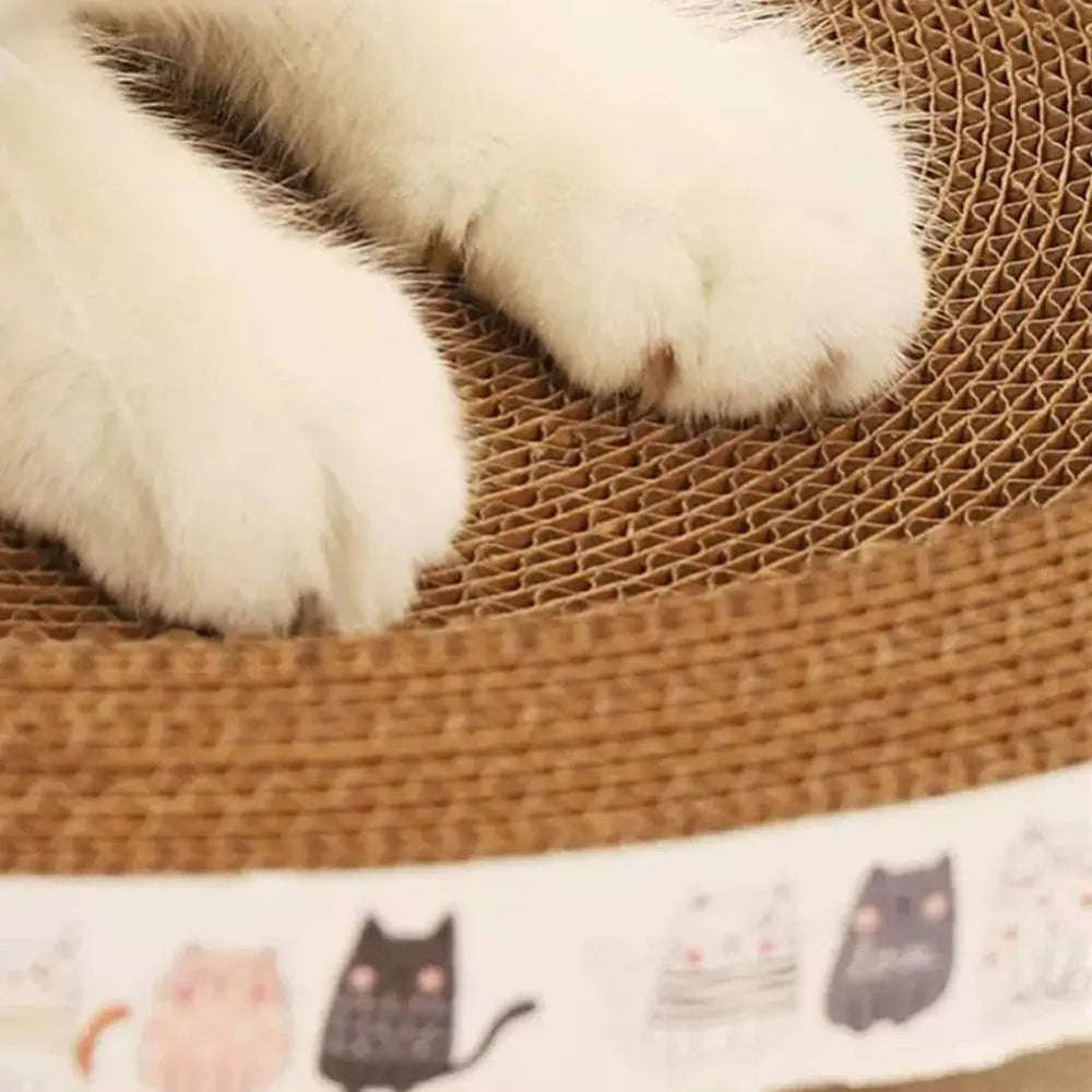 Close-up of a cat's paws on a textured surface with a cat-themed blanket in the foreground.
