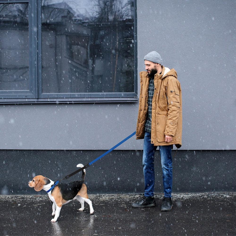 DOCO® 4ft Shock Absorbing BUNGEE Nylon Dog Leash.