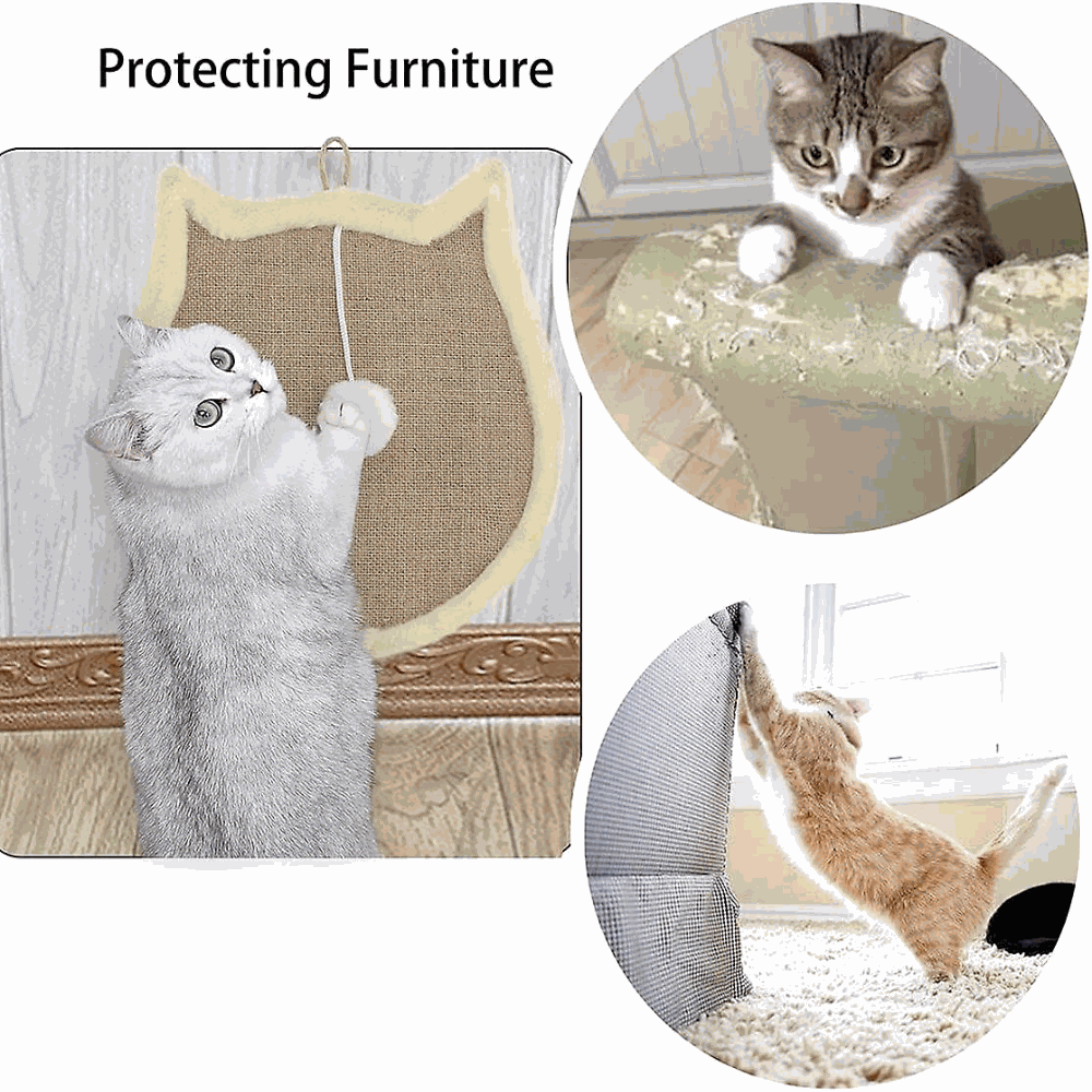 Collage of cats using a scratching pad to protect furniture.