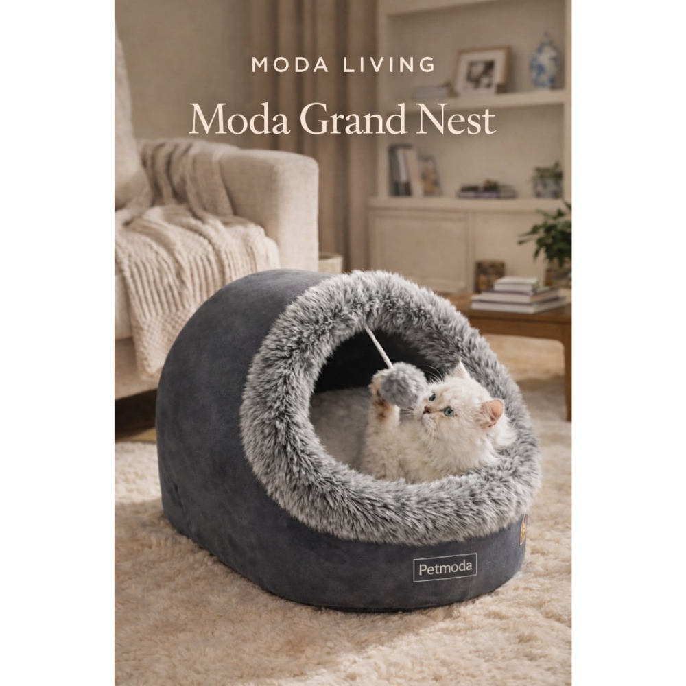 Gray pet bed with a cat inside, labeled 'Moda Grand Nest' by Petmoda, in a living room setting.