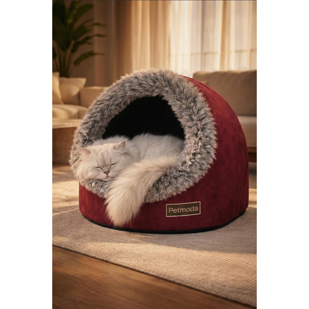 Cat sleeping in a red and gray pet bed with 'Petmoda' branding in a cozy living room.