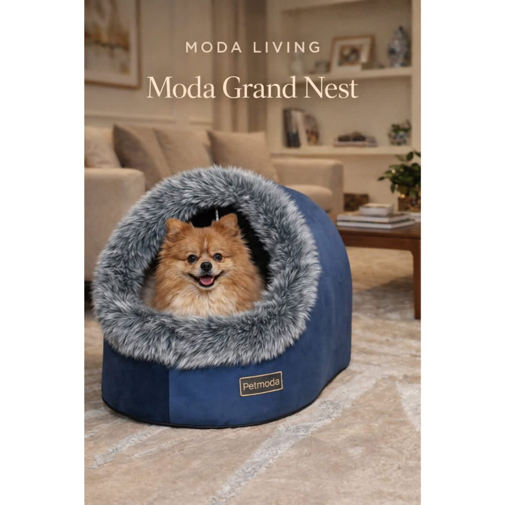 Pet bed with a dog inside in a living room setting, branded 'Moda Living' and 'Petmoda'.