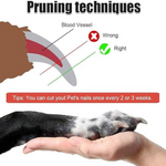 Diagram showing proper nail trimming techniques for pets with a hand and dog paw illustration.