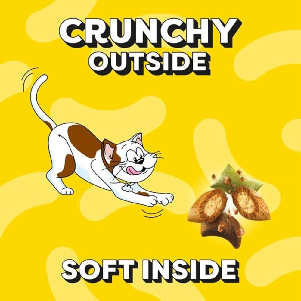Cartoon cat chasing treats with text 'Crunchy Outside, Soft Inside' on a yellow background