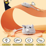 Cat Toy Automatic Moving Mouse.