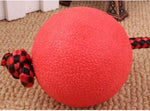 PawZilla Ball Toy With Rope.