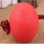 PawZilla Ball Toy With Rope.