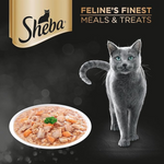 Sheba cat food packaging with a gray cat and a dish of food on a dark background