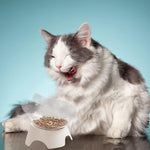Raised Cat Bowl with Non-Slip Stand for Cats or Small Dogs.