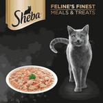 Sheba cat food packaging with a gray cat and a dish of food on a dark background