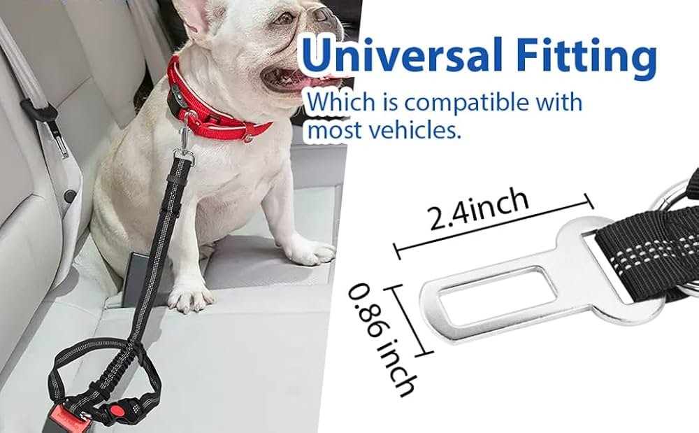 Naomi Black and Red Dog Leash For Car Seat Belt.