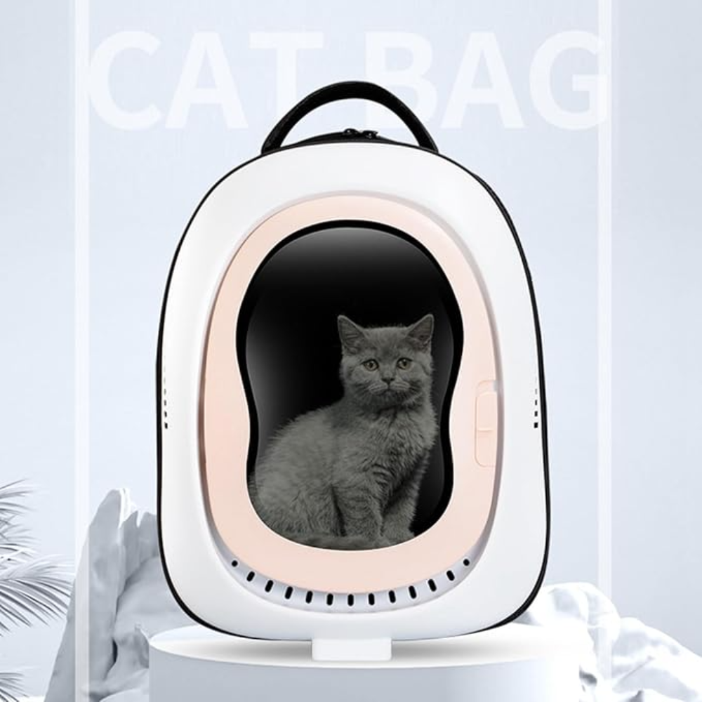 Pet carrier with a cat inside on a light gray background