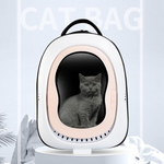 Pet carrier with a cat inside on a light gray background