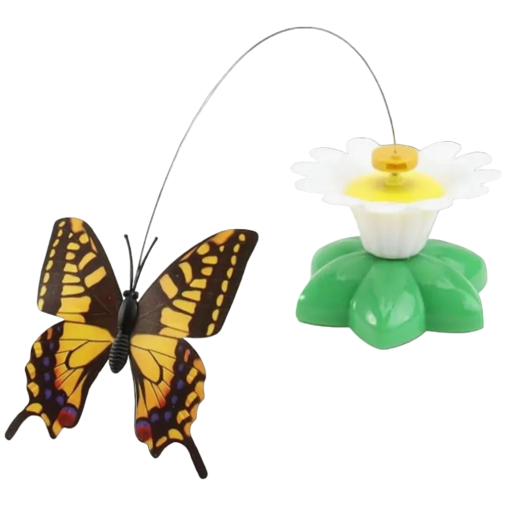 Interactive Catching Toy for Cat Multi Color Petfast.shop Generic Best Selling Cat Supplies Toys petfast.shop Egypt PBU3070S-1 Butterfly 200.00