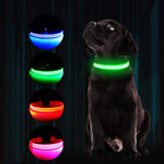 GERMPLASM DOG LED COLLAR SMALL GREEN.